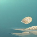 侯健 - 海螺