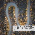 崔启明 - 我看见一道光