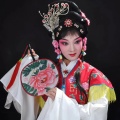 虎小玲（晋迎迎） - 辕门外三声炮如同雷震