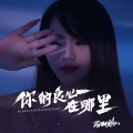 蔷薇团长 - 你的良心在哪里