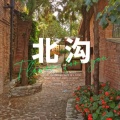 李大刀 - 忘不掉你的容颜