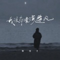 魏佳艺 - 我没有港湾避风