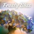 Frosty Bliss