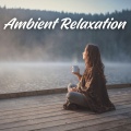 Ambient Relaxation
