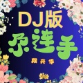 尕连手 (DJ版)