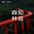 轻松频率 - 翠林鸟语