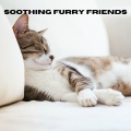 Relax My Kitten、Music For Cats、RelaxMyCat - Serene Bonds