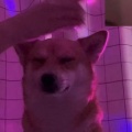 火同学 - 你好你好你好你好