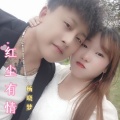 杨晓梦 - 红尘有情