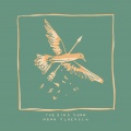 Noah Floersch - The Bird Song