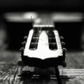 Peaceful Guitar、Guitar Chill、Relaxing Music For You - Warmness
