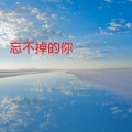 嘉垛 - 忘不掉的你
