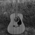 Pawz and Guitars - Wicked Game