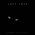 LOST LOVE