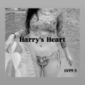 Harry’s Heart - 未投函、ストックホルム宛て