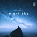 Night Sky