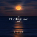 Bleeding Love (说唱版)