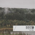 猫爪打键盘 - 回忆如潮