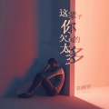DJ辉仔 - 这辈子你欠我的太多
