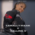 ReMan、Ionela Guzic、Carsten Mortensen、ROGER MARTINEZ LENNY、Isam Bachiri、Waqas Qadri - Tamally Maak x Calling U