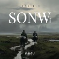 SONW (极品版)