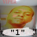 Viper - This Here