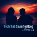 幸福的宗介 - Poob Siab Saum Toj Roob (Remix Dj版)