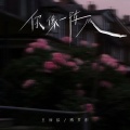 王忻辰、傅梦彤 - 你像一阵风