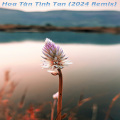 Hoa Tàn Tình Tan (炙漠之花)(2024 Remix)