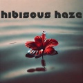 Hibiscus Haze (Bossa Island Dreamin')