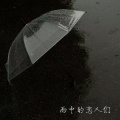 雨中的恋人们 (DJ刘雅松)