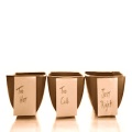 Goldielocks