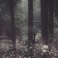 Annular - limerence