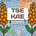 Yung Waiter MP、Rocky Royce、Mzakes - Tse Kae (feat. Rocky Royce, Mzakes & Bg)(Explicit)