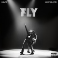 FLY (Explicit)