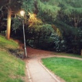 Sim Haywick - road to nowhere
