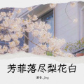 清音crystal - 乐曲 芳菲落尽梨花白