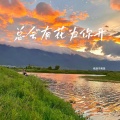 老胡子男孩 - 总会有花为你开