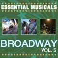 Stage Sound Unlimited - Hakuna Matata