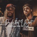 Do What I Want (feat. Fetty Wap)(Radio Edit)