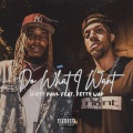 Do What I Want (feat. Fetty Wap)(Explicit)