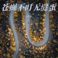 李大山 - 傻人有傻福