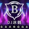 dj阿鹤、dj冰鹤、dj苏辰、DJ钰、白先森、DJ小荨、DJ小夜神、DJ 阿辰 - 冰鹤挚爱旋律