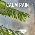 Calm Rain