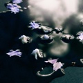 Zuli、MICHAELBRAILEY - Syzygy