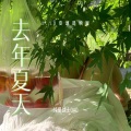 去年夏天 (1.1x变速混响版)