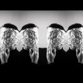 Wa - Solo Squad (Acapella Round|Explicit)