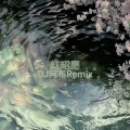 DJ阿布 - 红昭愿