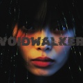 Voidwalker (Electronic Chaos Theory)