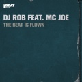 Rob - Boy's Interface